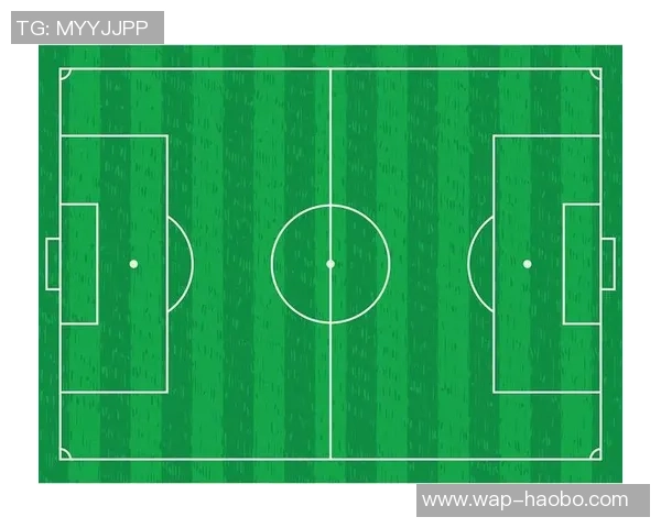 标准足球场的设计与布局详解及其对比赛的影响分析